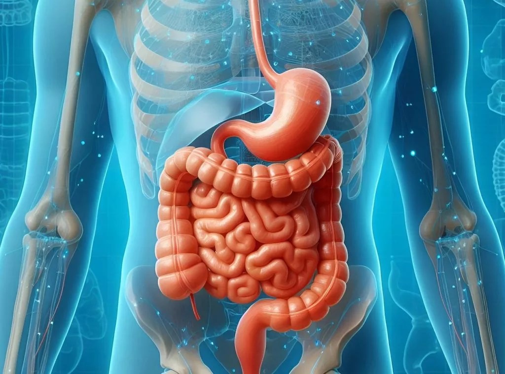 Diarreas con sangre, fatiga y pérdida de peso: estos síntomas revelarían que usted padece una enfermedad inflamatoria&nbsp;intestinal